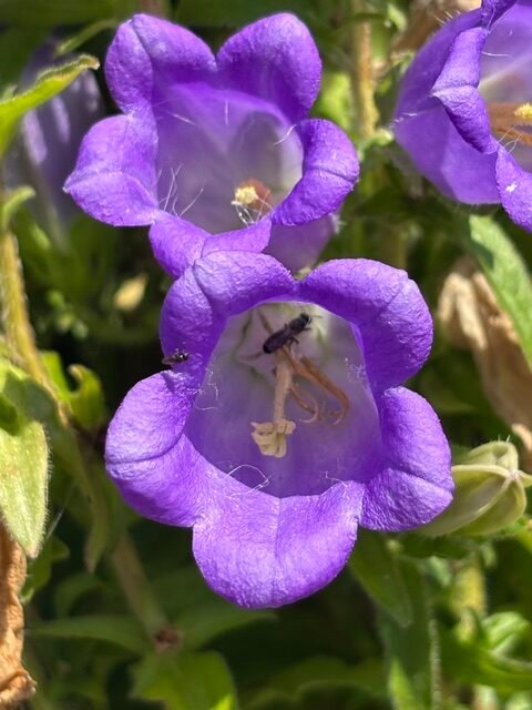 image0 (8)