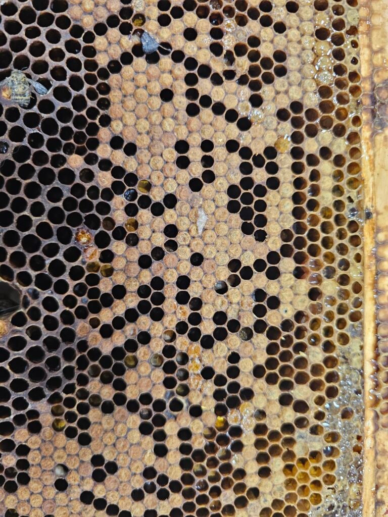 20260801 124200[1]