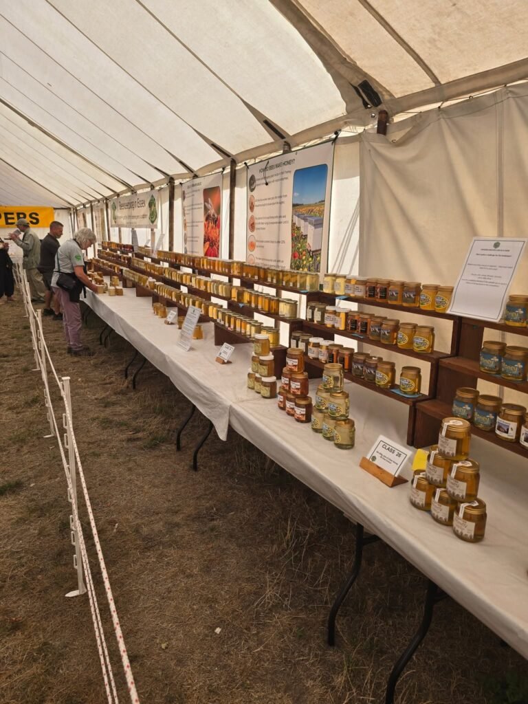 A selection of honey on display