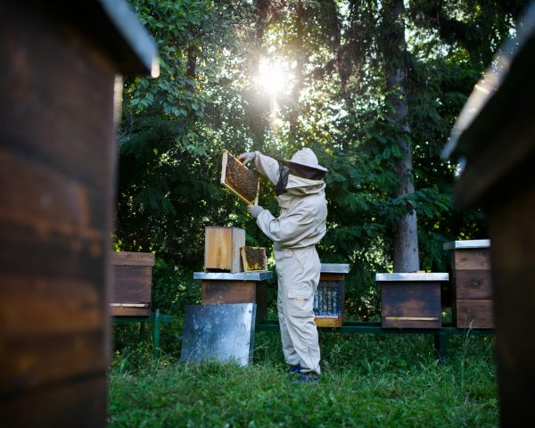 getty images ifsz4bxz18u unsplash